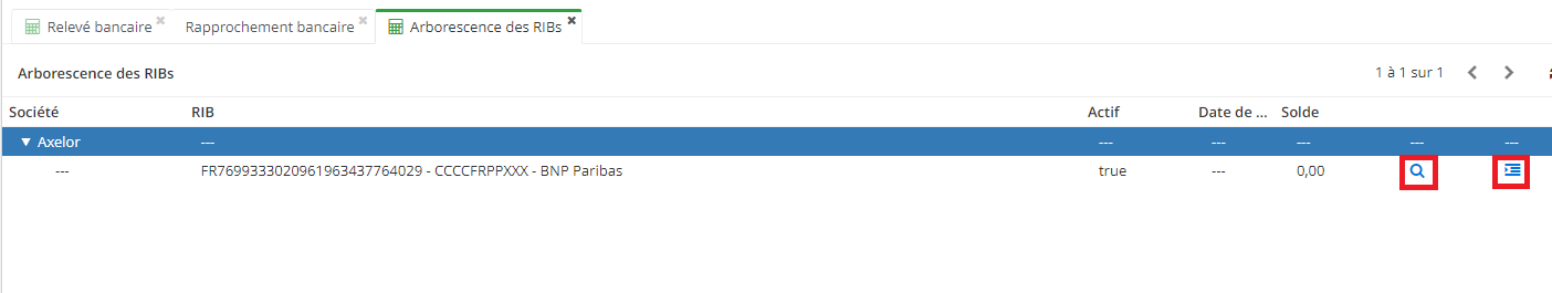 2.1. Arborescence des RIB et les boutons la Loupe et Lignes de relevé bancaire (pictogramme carré).