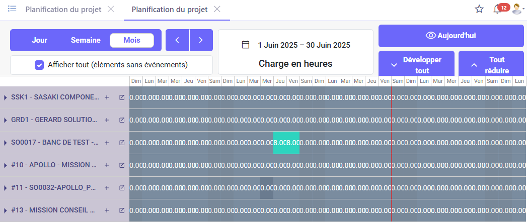 1.1. Vue planning par projet.