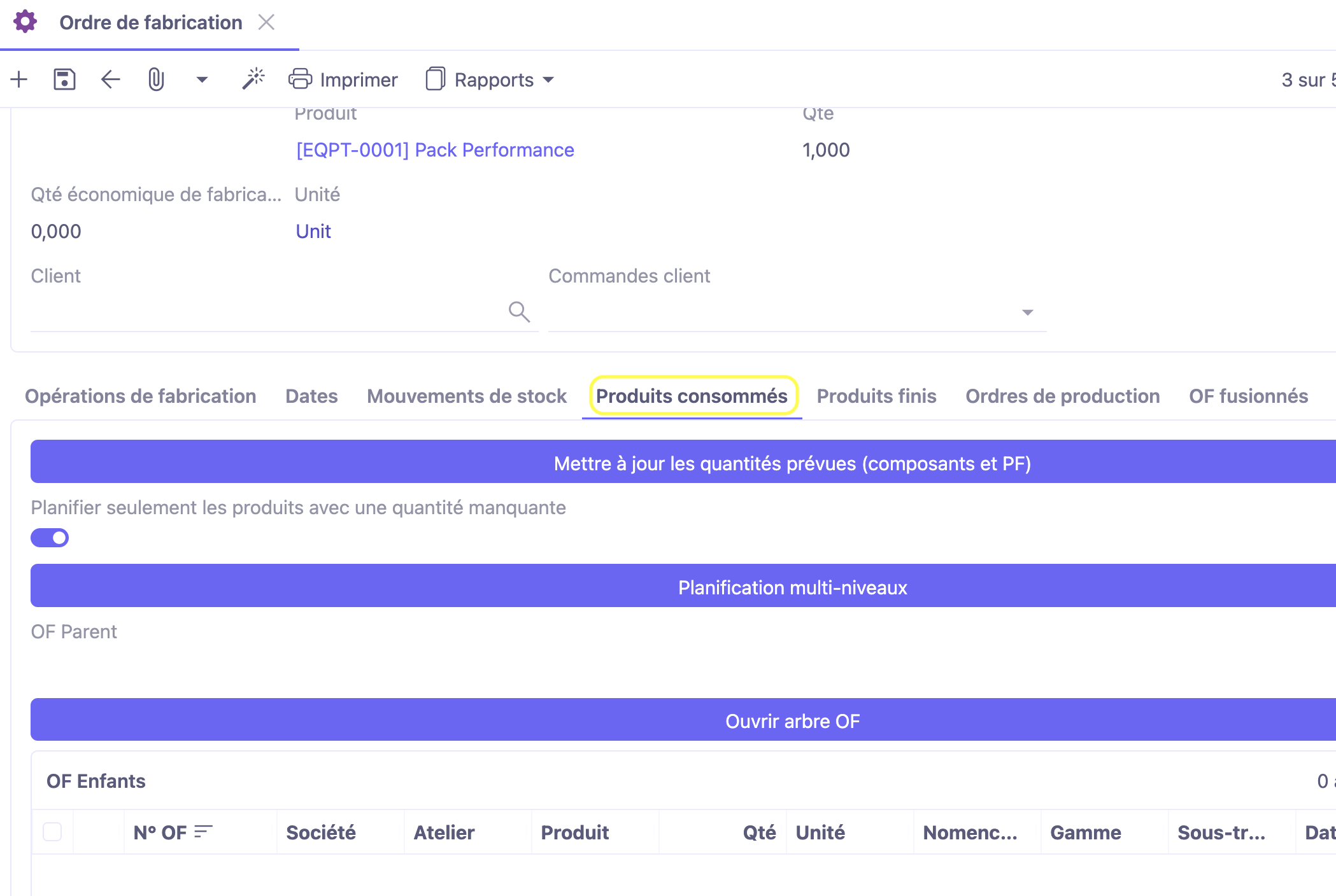 1.1. Onglet Produits consommés d'un ordre de fabrication.